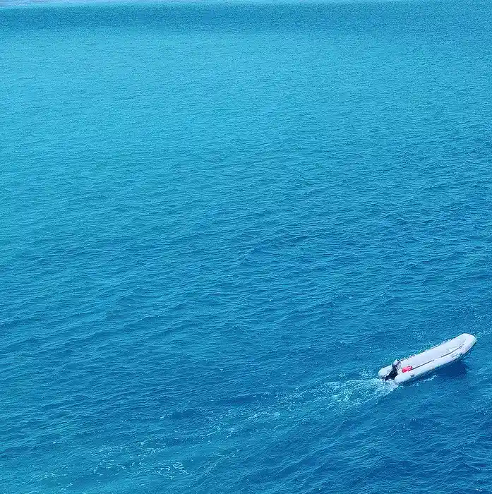 Key facts background