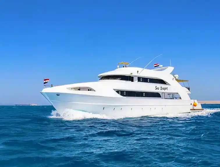 Exterior view of the Sea Dragon yacht on the water.
