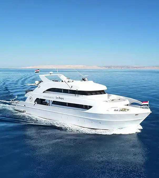 Side view of the Sea Dragon liveaboard yacht.