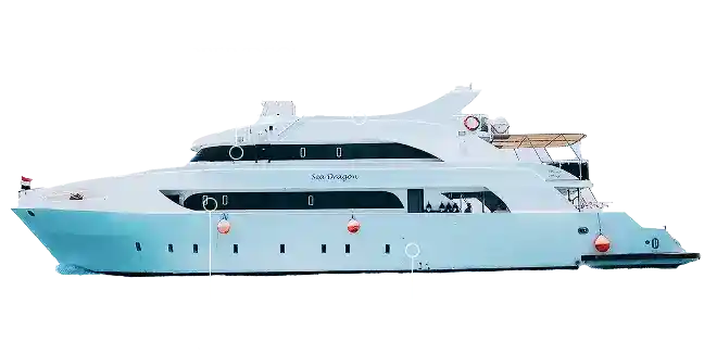 Sea Dragon Decks