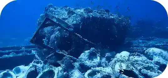 Brothers, Daedalus & Elphinstone image